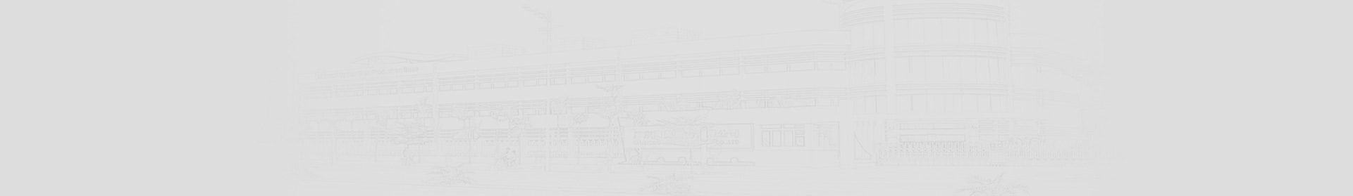 como apostar sorting bet