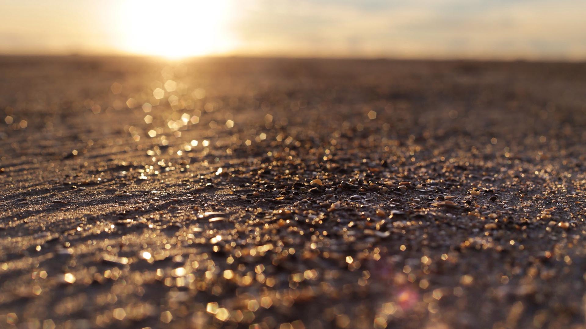 como apostar no bet pix 365