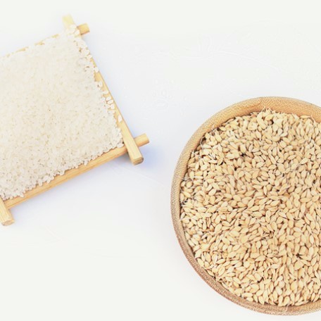 como apostar no mr jack bet