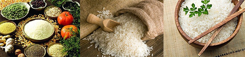 a plataforma 777 bet slot é confiável