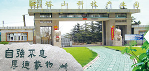 a joguefácil.bet ê uma casa de apostas segura