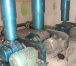 a nova aposta real bet